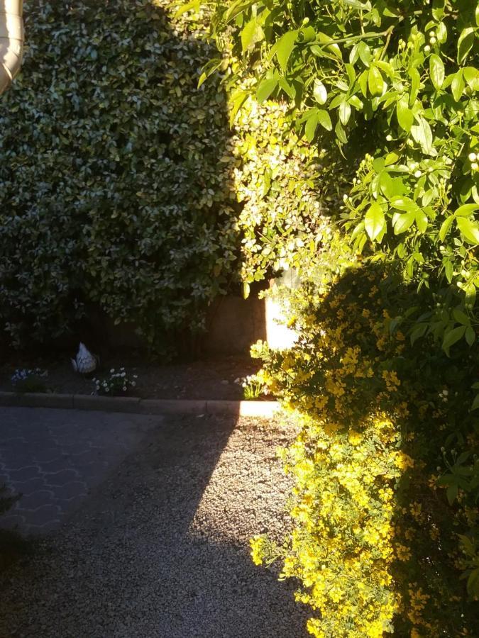 Une Chambre En Ville LʼIsle-sur-la-Sorgue 외부 사진